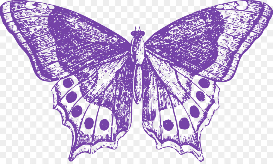 Monarch-Schmetterling, Falter Insekten Schmetterlinge & Libellen: Eine Seite Anleitung Clip art - Insekt