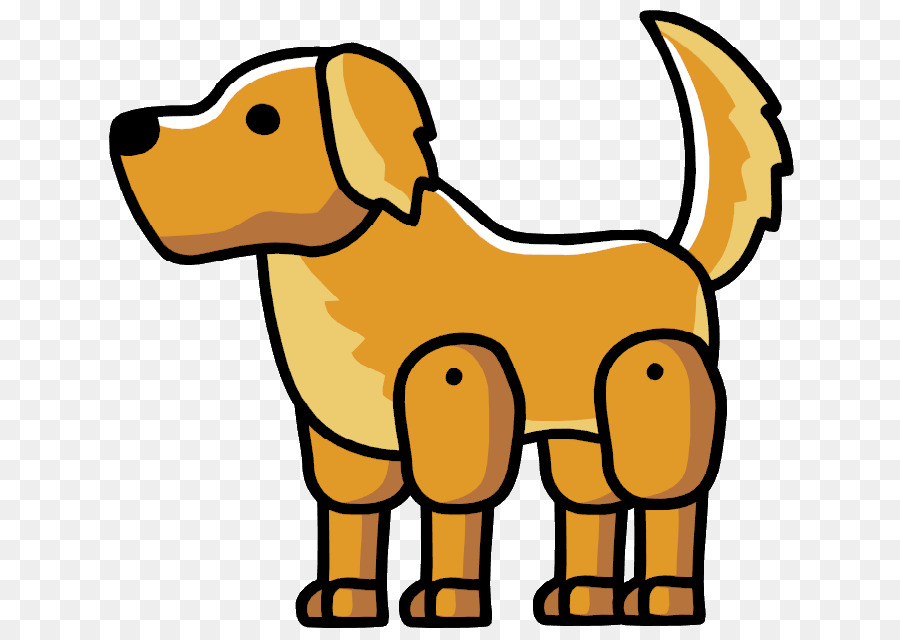 Con chó giống chó Săn Vàng Hồ không giới Hạn - Chó Săn Vàng