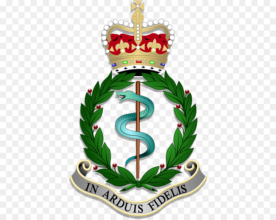 Royal Army Medical Corps Reggimento dell'Esercito Britannico Combat medic - medical center di bethesda naval