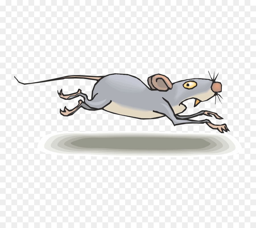 Chuột Clip nghệ thuật Mộ phim Hoạt hình Vẽ - con chuột png tải về - Miễn  phí trong suốt Con Mèo png Tải về.