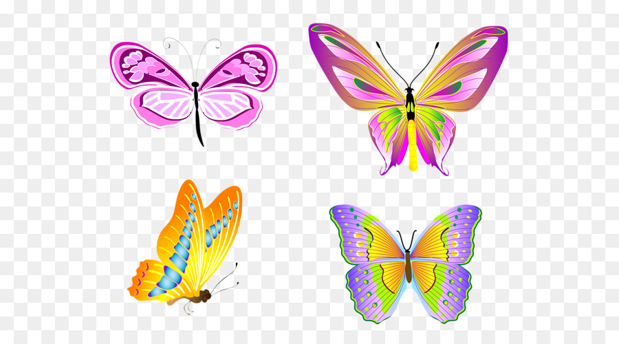 Glasswing bướm bướm giáp Clip nghệ thuật Vua bướm Côn trùng - nh biên giới