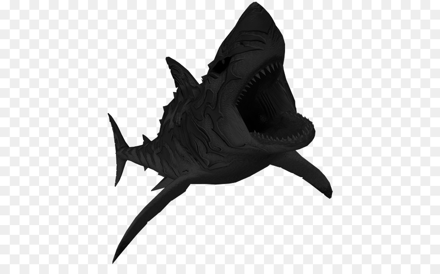 Cá mập động vật Biển có vú - Một Ten Bosch