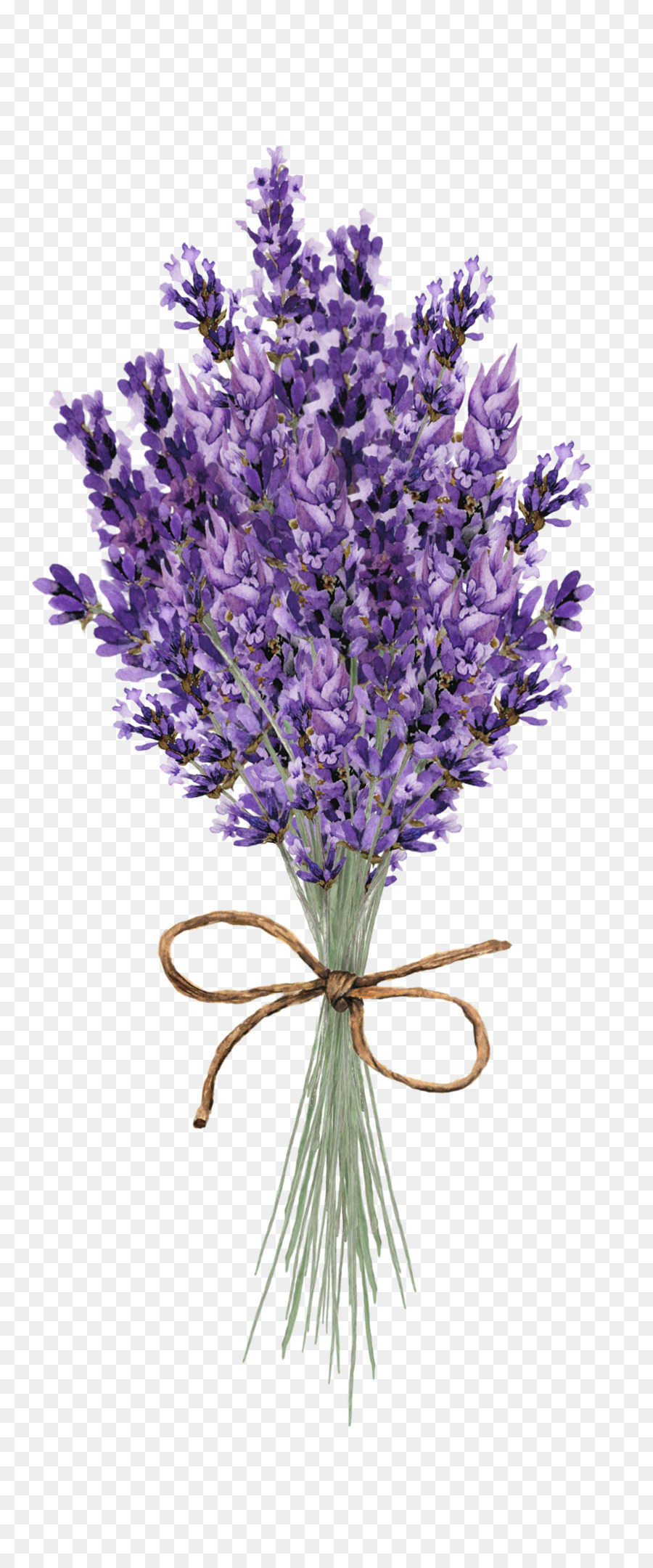 Lavendel-clipart-Design-Illustration-Hochzeits-Einladung - Lavendel Zeichen