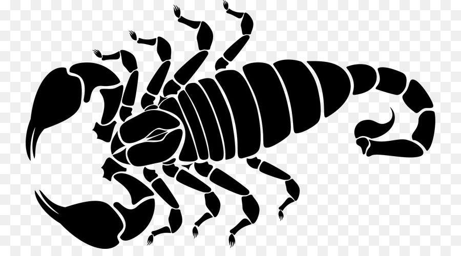 Scorpion Vektor-Grafik-Illustration-clipart-Encapsulated PostScript - Skorpion