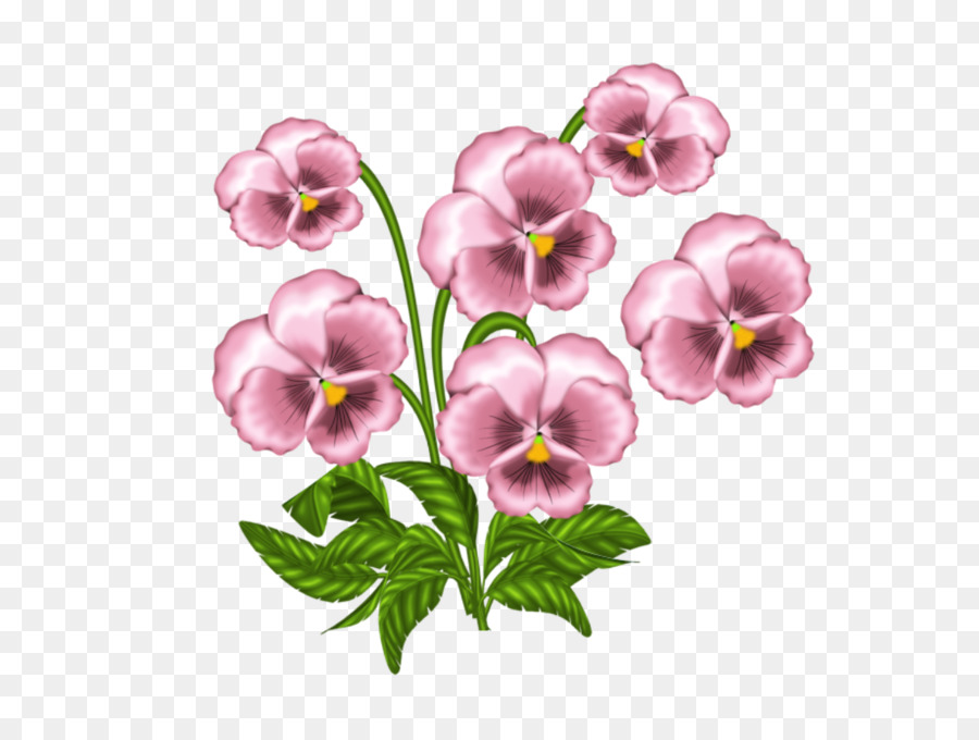 Clip art violette Africane Pansy Portable Network Graphics Openclipart - 