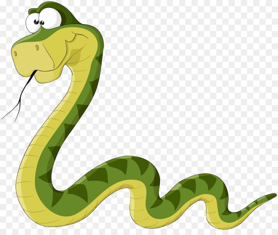 Snake Cartoon png download - 1000*839 - Free Transparent Snakes png  Download. - CleanPNG / KissPNG