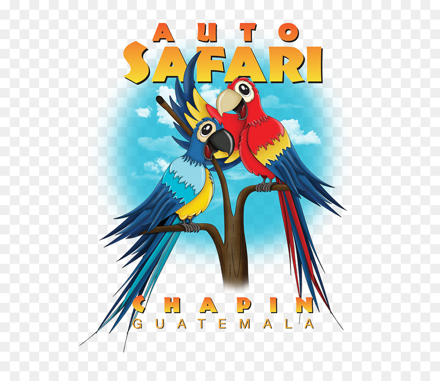 Macaw Parrot Illustration Vogel Schnabel - Papagei