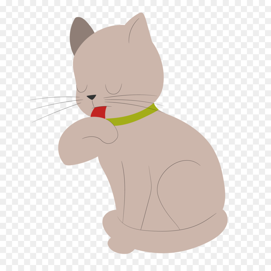 Gattino Domestico gatto pelo corto Baffi del Cane - coccolone