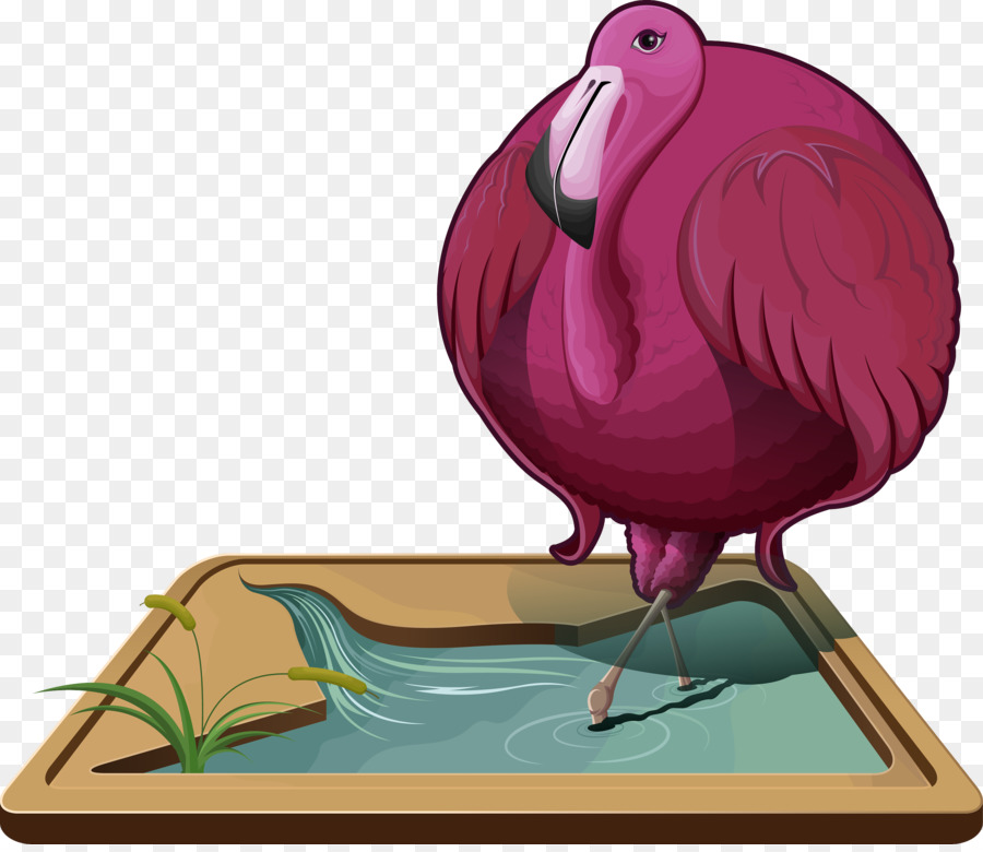 Pollo Illustrazione Becco D'Uccello, Cartone Animato - circolare