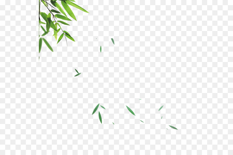 Portable Network Graphics Foglia Immagine Di Bambù Illustrazione - foglia
