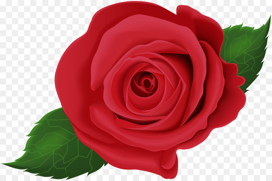 Garten Rosen-clipart-Kohl-rose Floribunda Blaue rose - rote Nägel