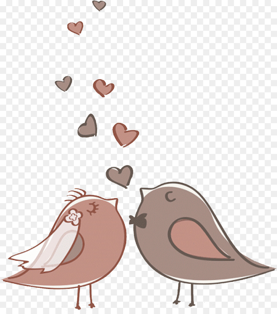 Invito a nozze grafica Vettoriale Uccello Clip art - matrimonio