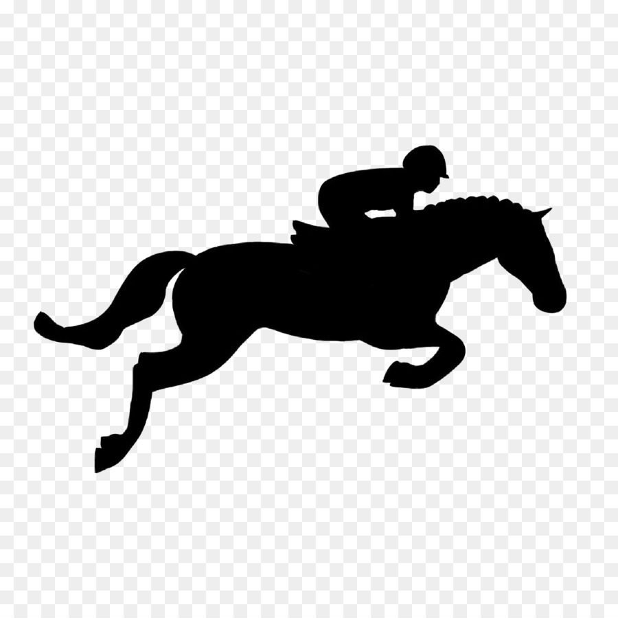 Cavallo Clip art di salto ostacoli Equestre - cavallo