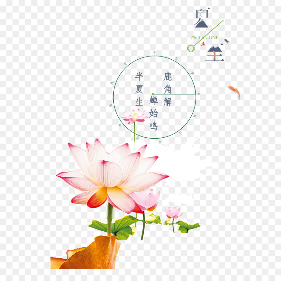Heilige Lotus-Image-Download Portable Network Graphics - zehn