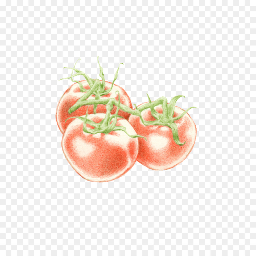 Tomaten-Food-Illustration Illustrator Gemüse - Tomaten
