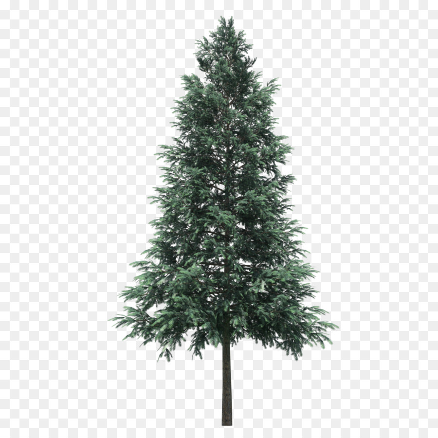 Nhân tạo cây Giáng sinh Ngày Giáng sinh Trước khi thắp sáng cây Tùng nón - cây xanh