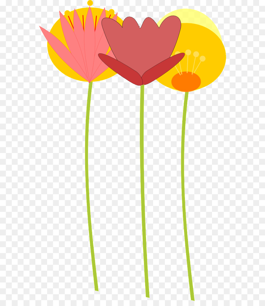 Clip art Tulip Portable Network Graphics Illustrazione Fiore - Tulipano