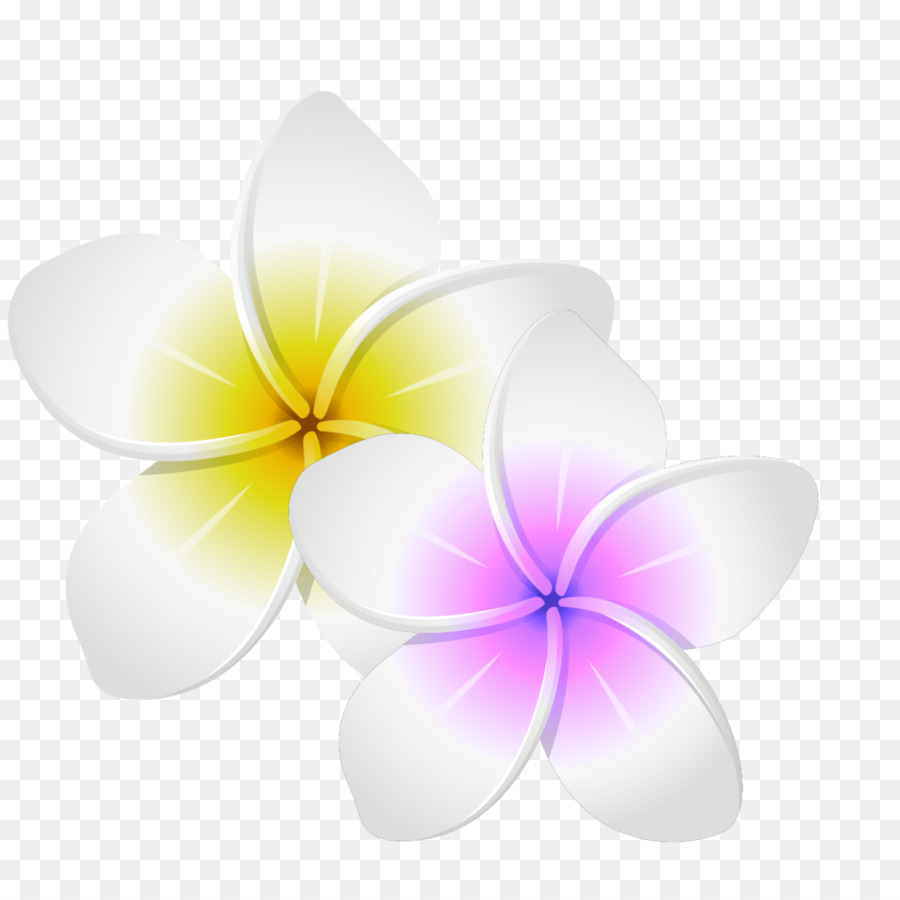 Sfondo per il Desktop del Petalo design di Prodotto, Close-up, Computer - il rosa e il fiore giallo logo