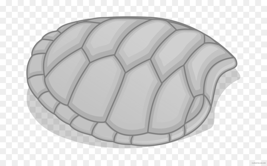 Turtle Shell. 