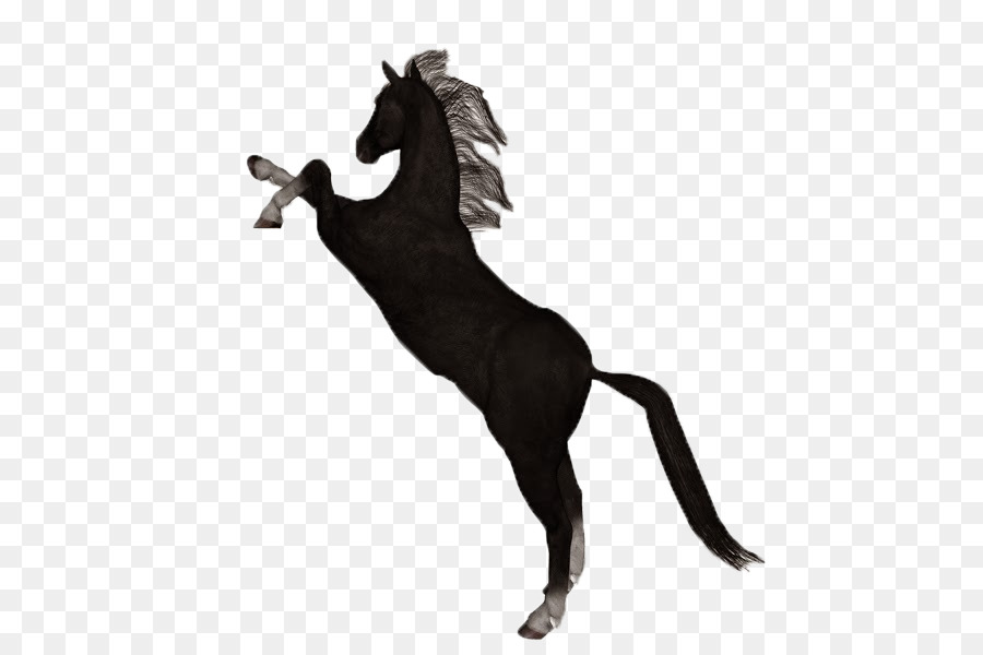Mustang Ngựa Con Ngựa Pony Loại Trưởng - mustang