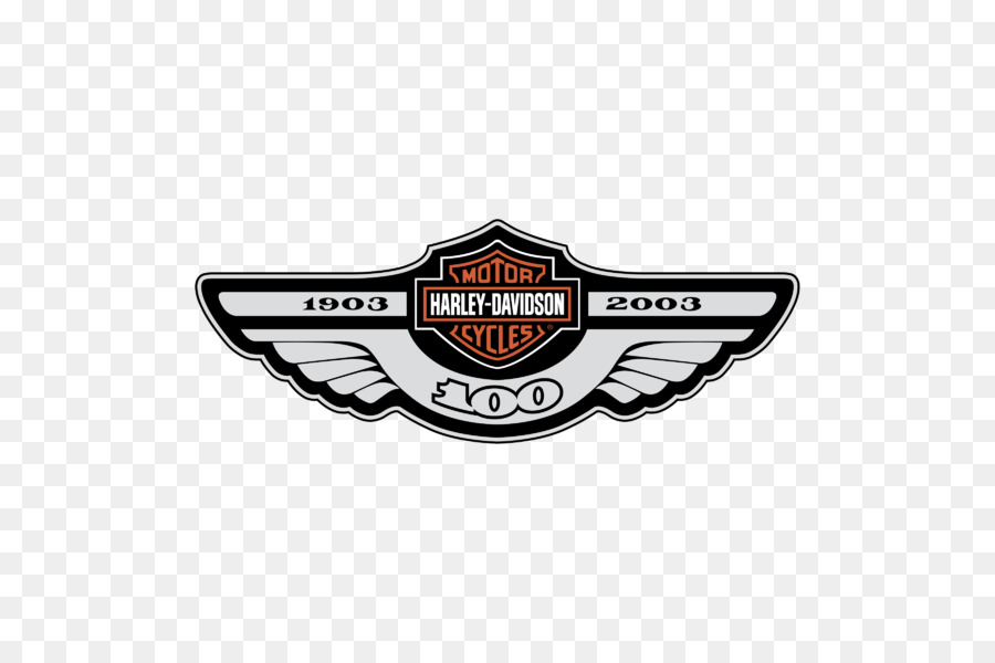 Denney Harley-Davidson, Harley-Davidson VRSC Harley-Davidson Baja 100 - moto