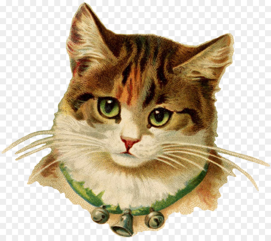 Kitten, Siamesen-Katze Gemälde Bild Poster - französische Grafik fee transfers