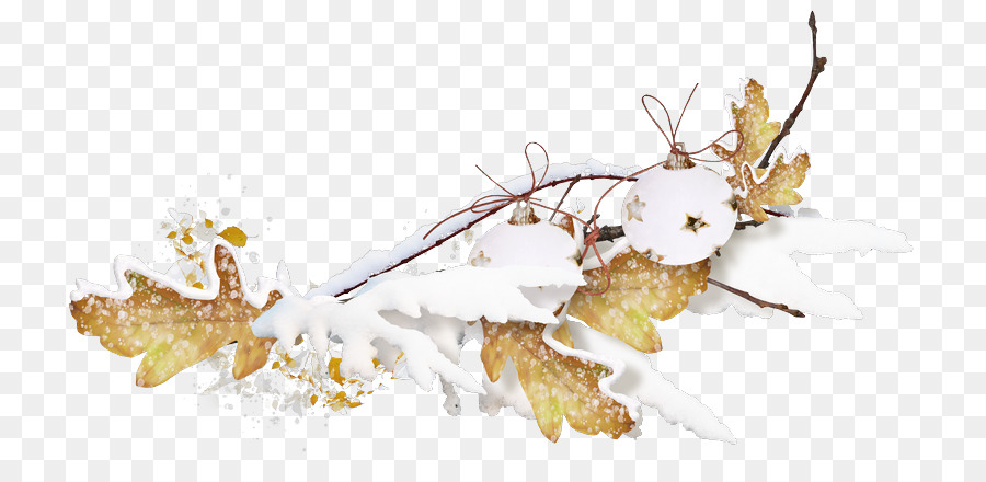 Immagine Portable Network Graphics Twig Giorno di Natale, animazione - la neve caduta foglie
