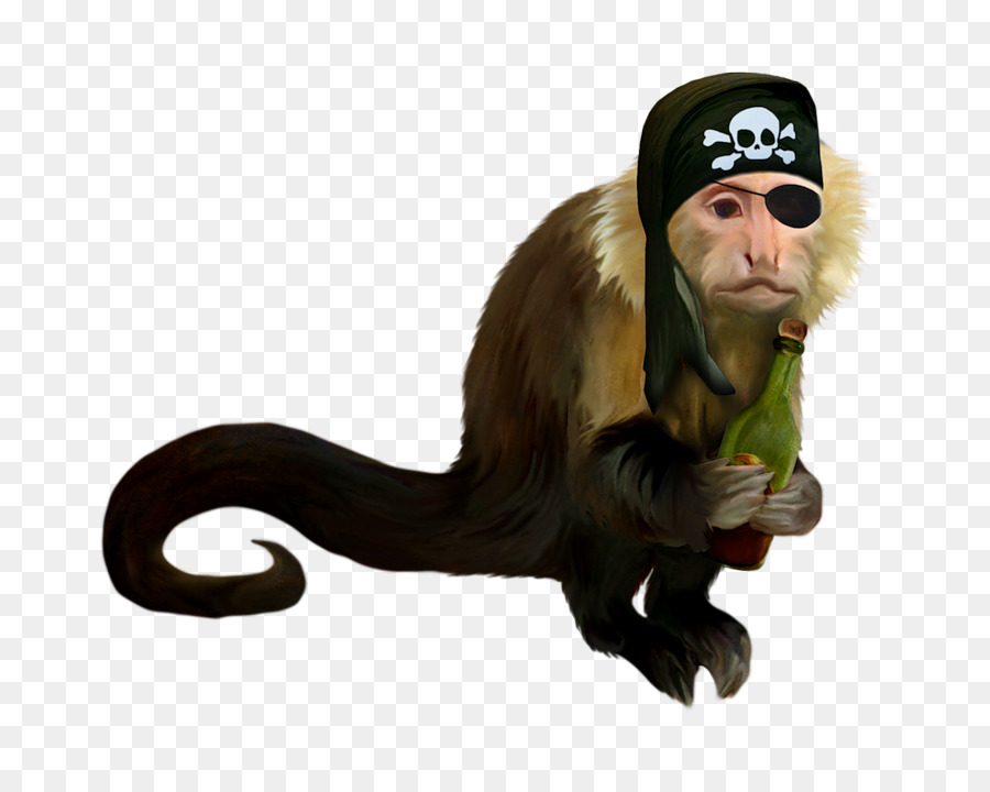 Ape scimmie del Vecchio mondo Pirateria Portable Network Graphics - scimmia