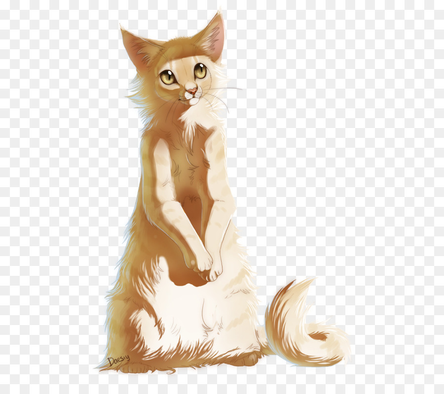 Baffi Maine Coon Domestico a pelo corto Pelliccia del gatto Illustrazione - 