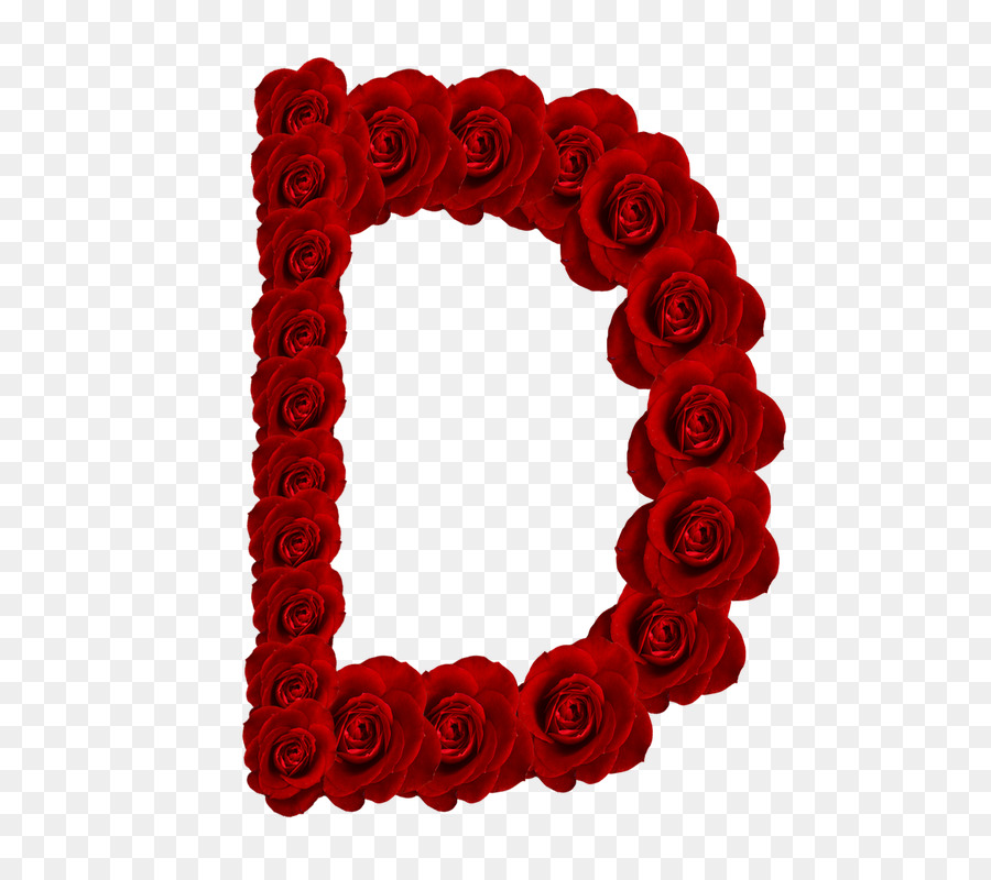 Lettera Alfabeto Rose K - rosa