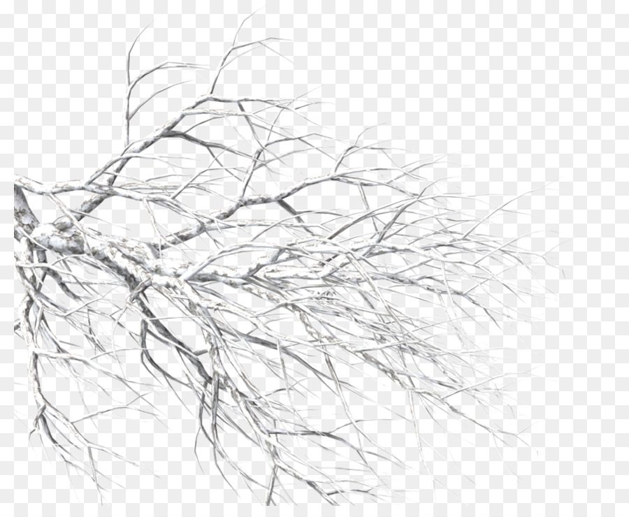 Portable Network Graphics Snow Branch Tree-Bild - Schnee