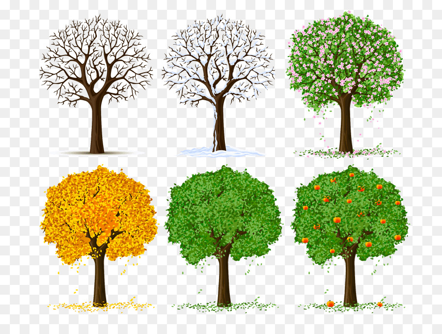 Vektor-Grafik-Illustration-Zeichnung Clip art Baum - Jahreszeiten