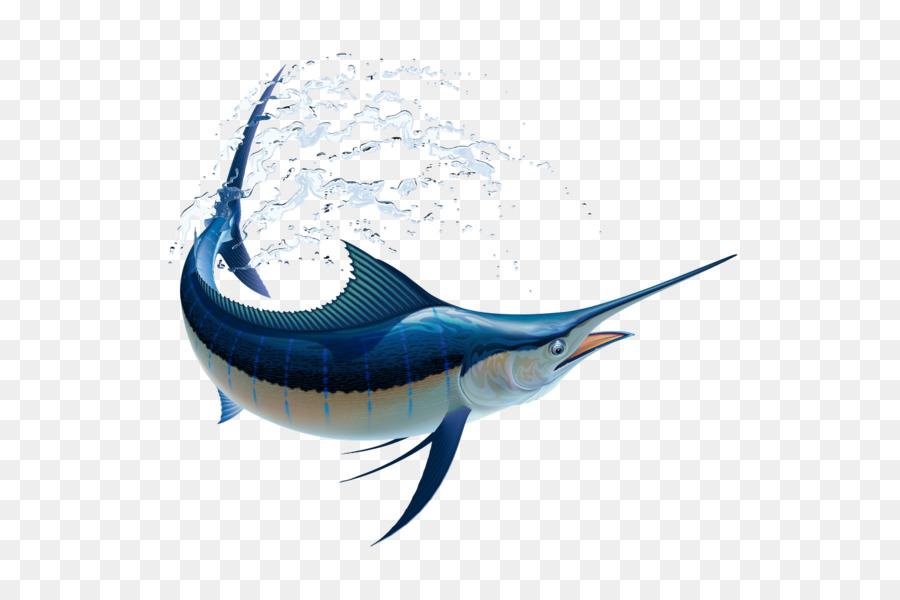 Marlin pesca Atlantic blue marlin Billfish grafica Vettoriale Bianco marlin - orca sott'acqua i pesci