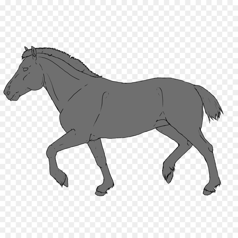 Con Ngựa Pony Donkey Stallion - Donkey