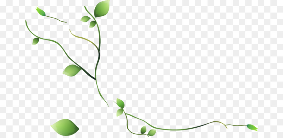 Prinsepia utilis Naver Blog, Desktop Wallpaper Blatt - floralen Hintergrund