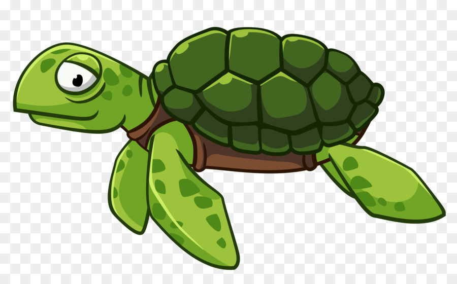 Green sea turtle Vektor-Grafik-clipart - Meeresschildkröte
