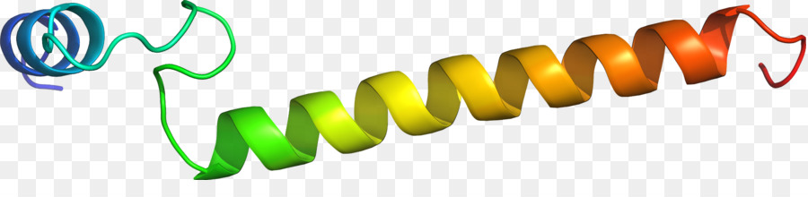 Clip art Logo Produkt design Linie - Nwo
