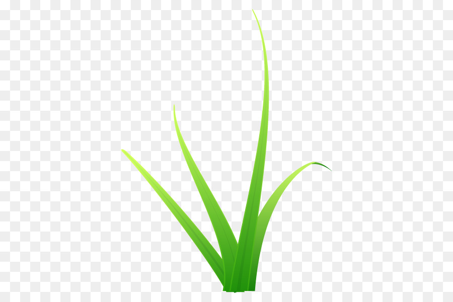 Blatt, Pflanze, Stamm-Blumen-Gräser-Linie - 