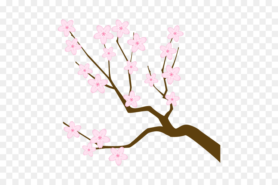 Cherry blossom Ramo Illustrazione Ramoscello di Albero - 