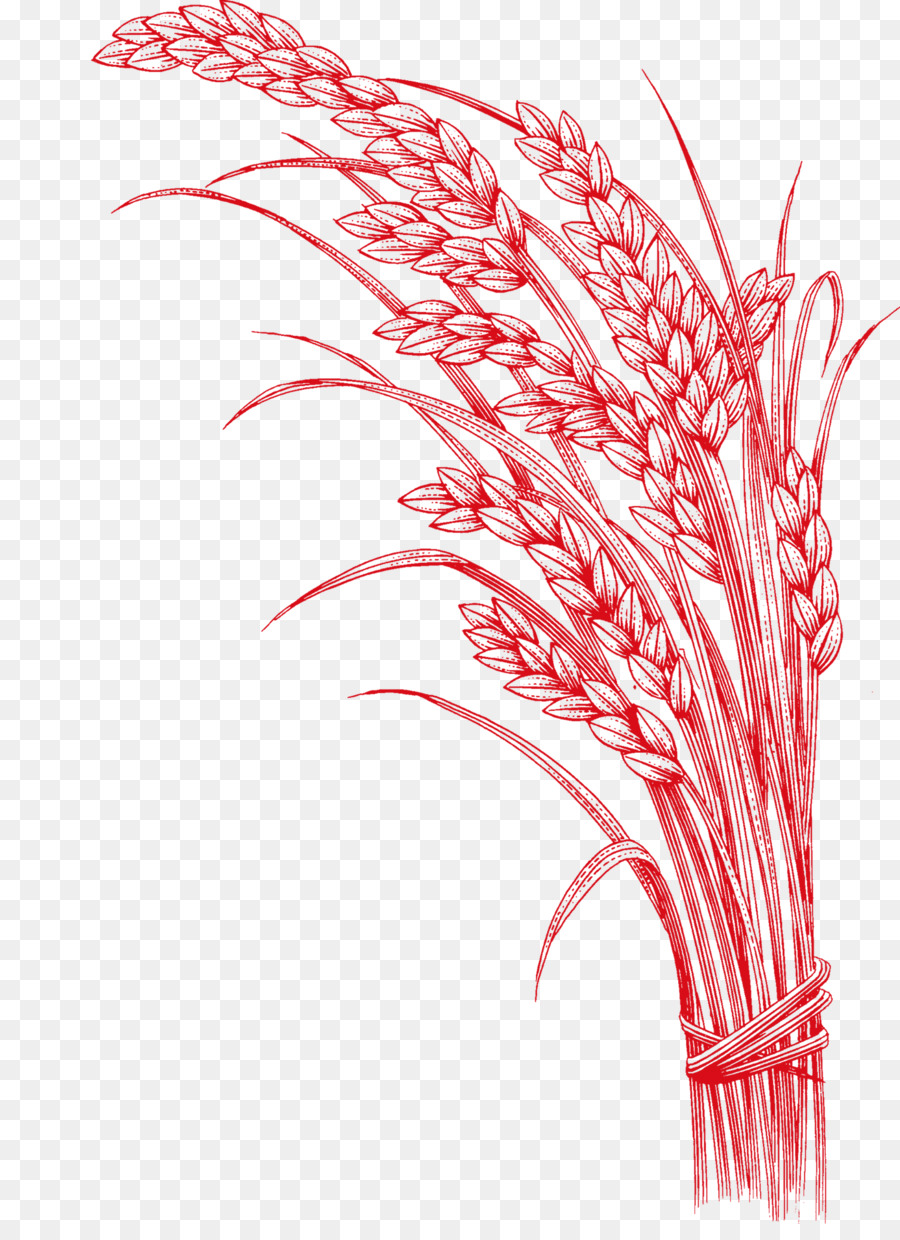 Gạo Ngũ Cốc Cốc Đồ Họa Mạng Di Động - xay lúa mì