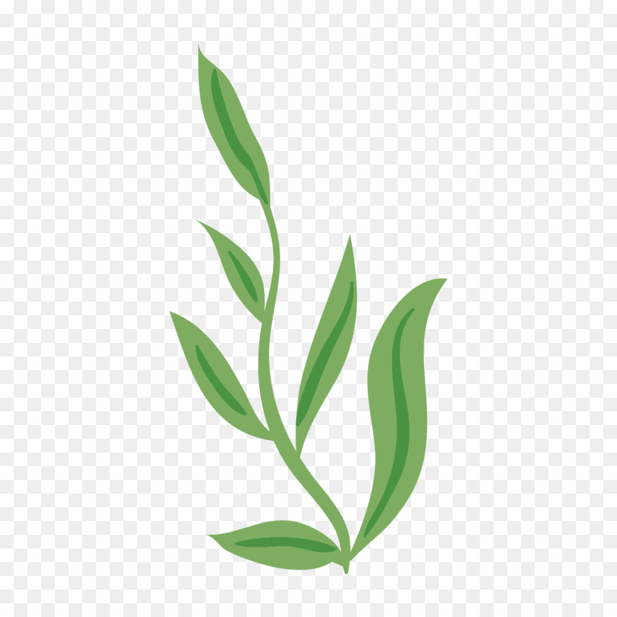 Portable Network Graphics Immagine Adobe Photoshop Foglia Verde - piante verdi