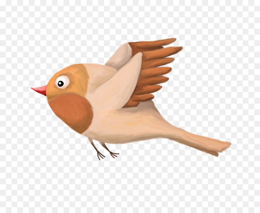 Uccello Portable Network Graphics Becco Immagine Piuma - uccello