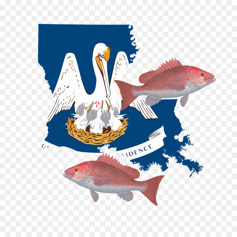 New Orleans Cờ của Bang Louisiana cờ nước MỸ - cờ