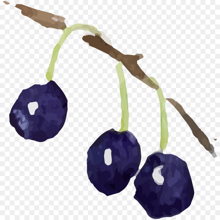 Berry-Aquarell Illustration Beeren - blueberry Pflanzen