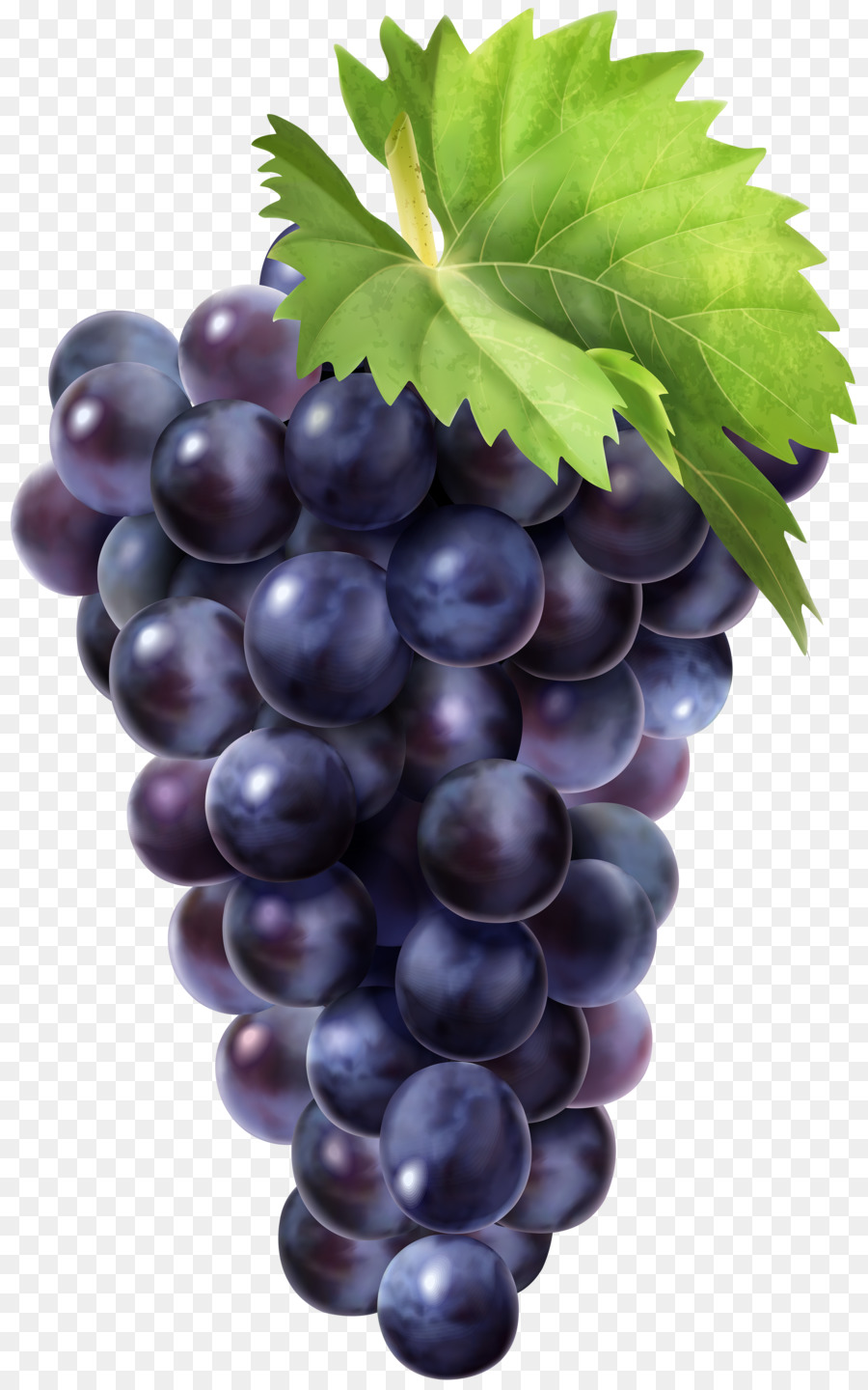 Fruit Juice png download - 3131*5000 - Free Transparent Grape png