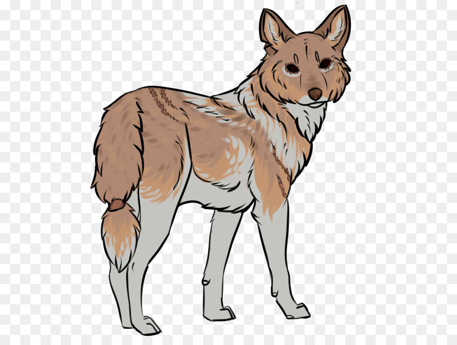 Saarloos Wolfshund tschechoslowakische Wolfshund Coyote Dingo Red fox - Stockenten mongrel