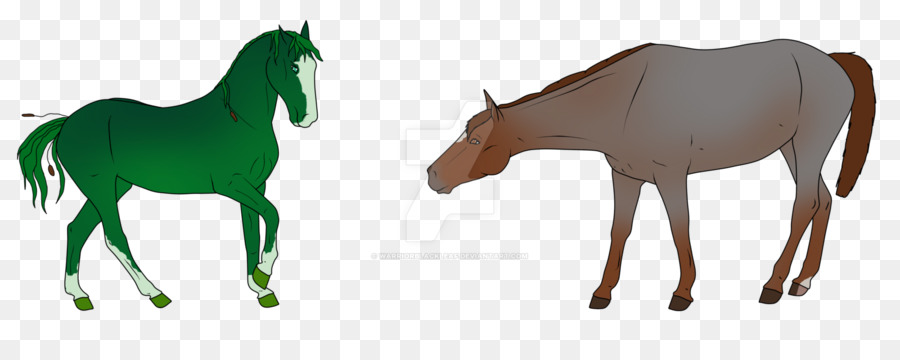 Mule Foal Colt Mustang Hengst - Gringo