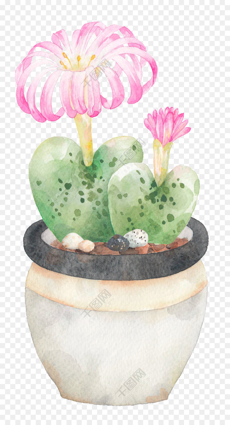 Grafica vettoriale Portable Network Graphics Graphic design Immagine - Fiore di cactus