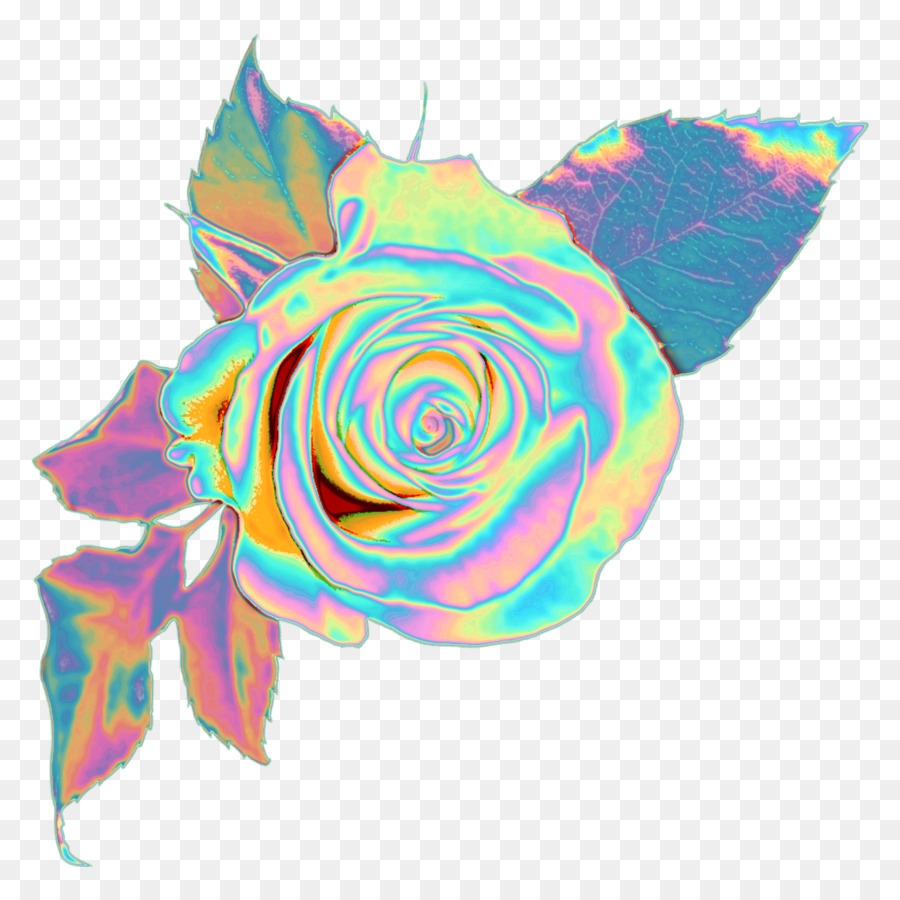 Rose Portable Network Graphics Clip art Rosa Blumen Bild - Rose