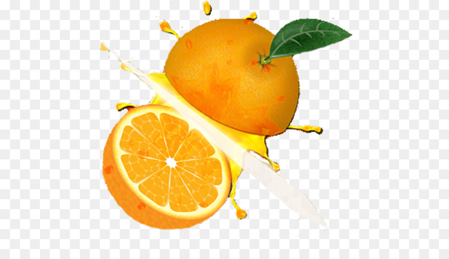 Rangpur di Mandarino, arancio mandarino Clementine d'angelo - pompelmo